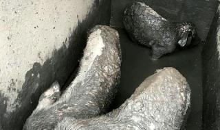 C罗真的为汶川地震捐款了吗 汶川地震捐款排行