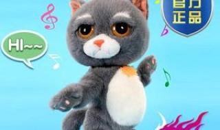 飞机上可否带电动玩具 用电动玩具玩自己