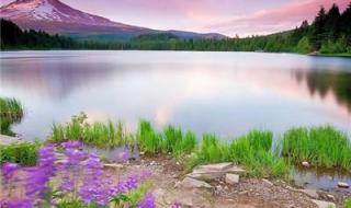 用带暴富头像的人什么心理 男人旺运的头像照片