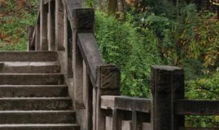 四川国际标榜职业学院怎么样 四川国际标榜学院