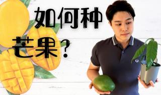 芒果tv弹幕按钮没了